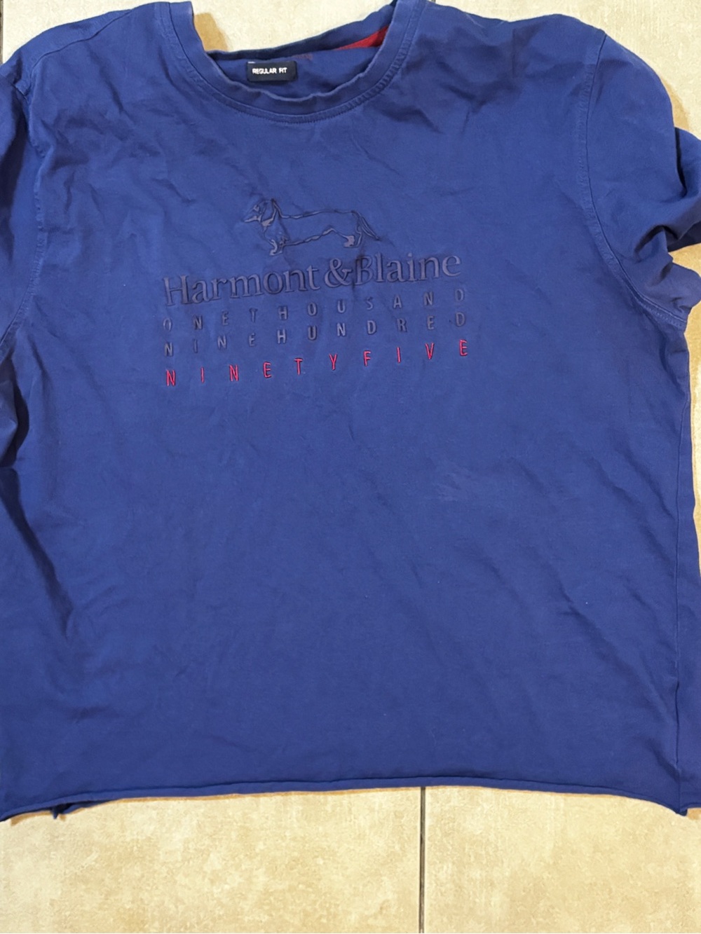 Harmont & Blaine Men's Royal Blue raised lettering logo T‑Shirt L raw hem